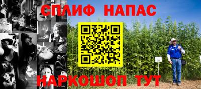 ECSTASY Лесосибирск