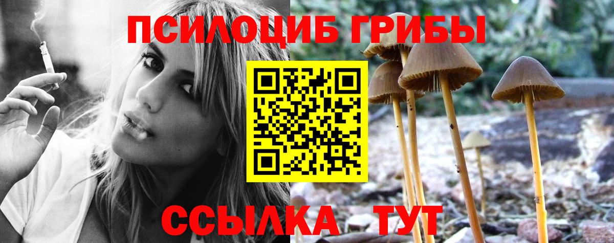 Галлюциногенные грибы мухоморы Холмск